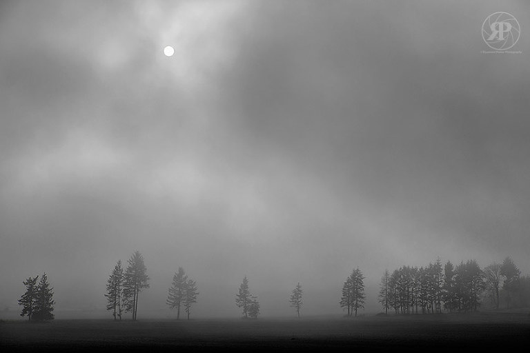 Someday I'll wish upon a star