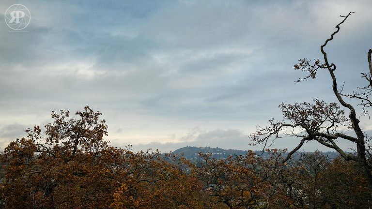 Mount Tolmieon horizon