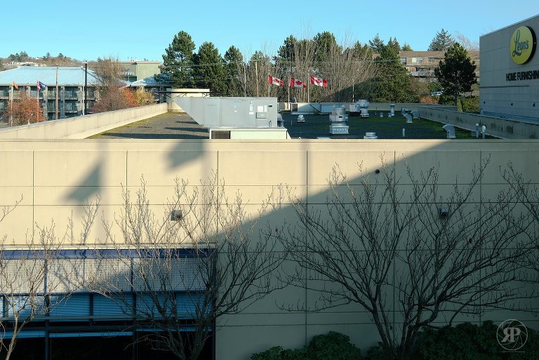 Three Maple Leaf flags flying