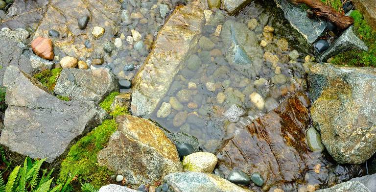 Rock, moss and water