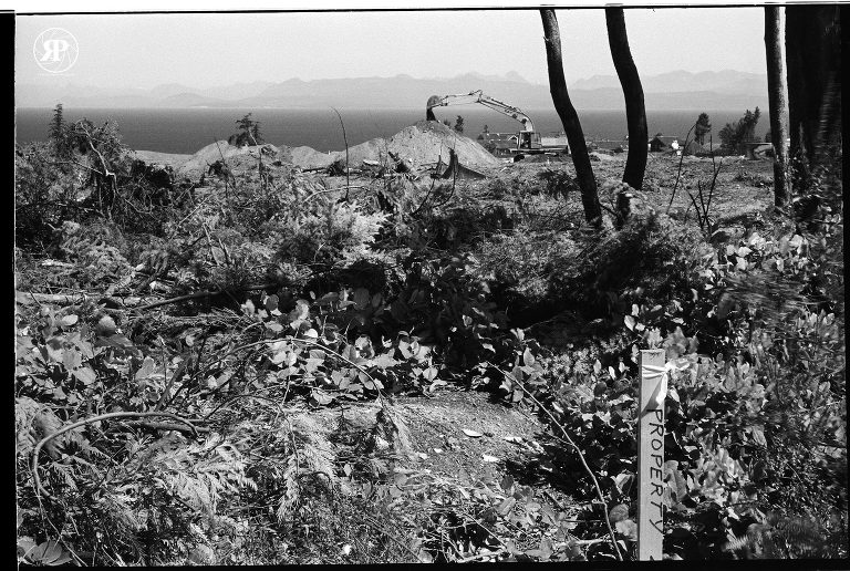 Land clearing, Vancouver Island