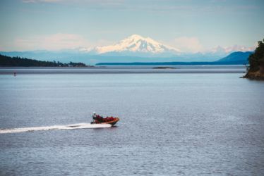 Ferry to Vancouver (whale watchers)
