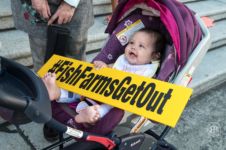 Baby Protest, Victoria, Aug. 31, 2017
