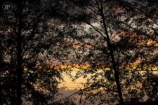 Nightfall, Alert Bay