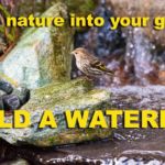 Landscaping With a Pondless Waterfall Landscaping With a Pondless Waterfall